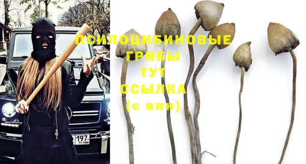 метадон Инсар