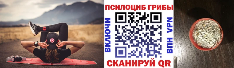 Псилоцибиновые грибы мухоморы  Купить где  Ивангород 